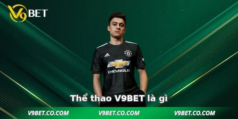 Thể thao V9BET là gì và cách vận hành
