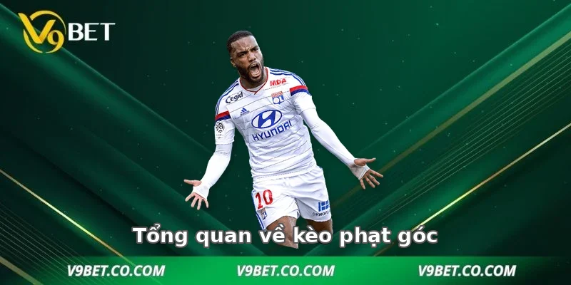 Tổng quan về kèo phạt góc trong cá cược bóng đá