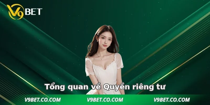 Tổng quan về Quyền riêng tư V9BET