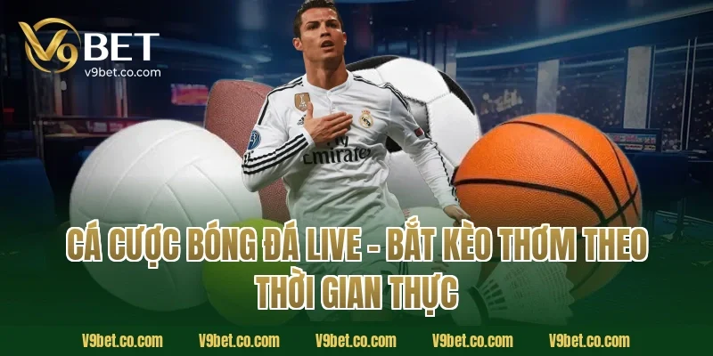 Cá Cược Bóng Đá Live – Bắt Kèo Thơm Theo Thời Gian Thực