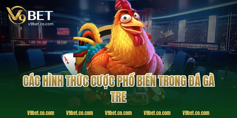 Các Hình Thức Cược Phổ Biến Trong Đá Gà Tre
