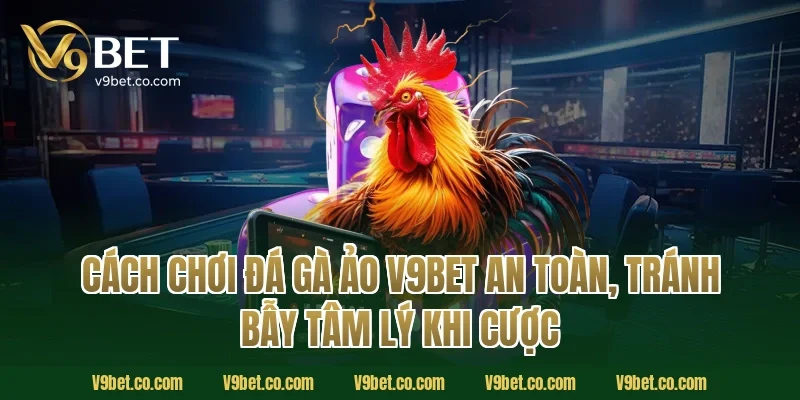 Cách chơi đá gà ảo V9Bet an toàn, tránh bẫy tâm lý khi cược