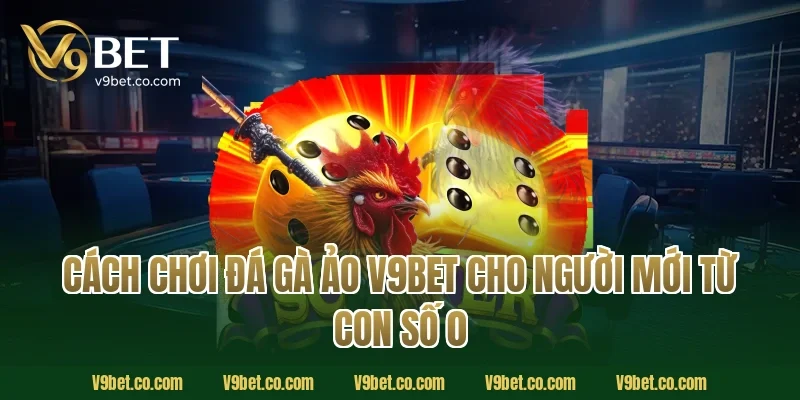 Cách chơi đá gà ảo V9Bet cho người mới từ con số 0