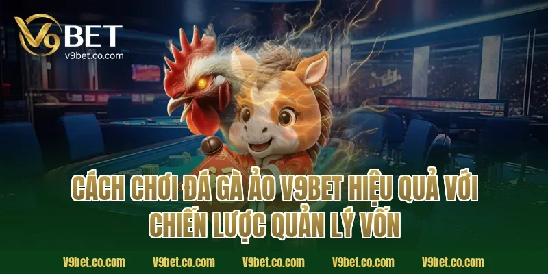 Cách chơi đá gà ảo V9Bet hiệu quả với chiến lược quản lý vốn