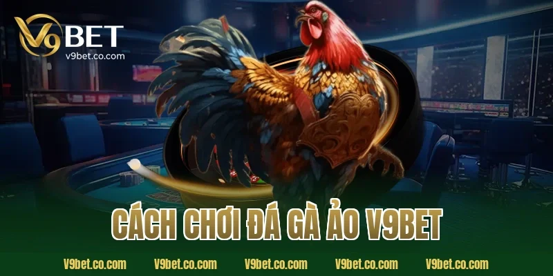 cách chơi đá gà ảo V9Bet