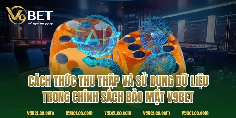 Cách thức thu thập và sử dụng dữ liệu trong chính sách bảo mật V9Bet