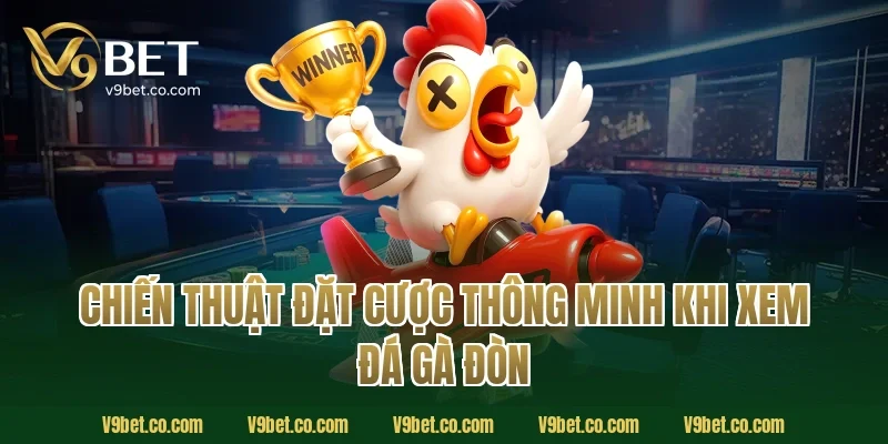 Chiến Thuật Đặt Cược Thông Minh Khi Xem Đá Gà Đòn