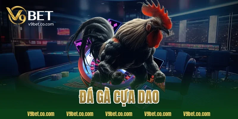 đá gà cựa dao