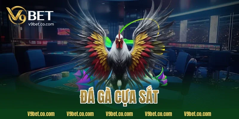 đá gà cựa sắt