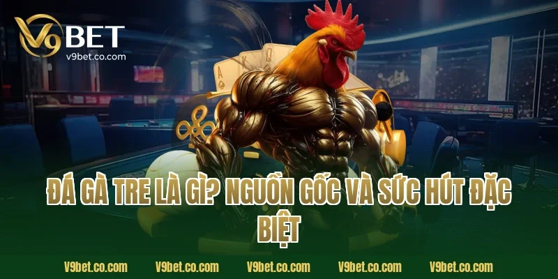 Đá Gà Tre Là Gì? Nguồn Gốc Và Sức Hút Đặc Biệt