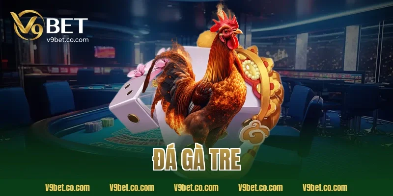 đá gà tre