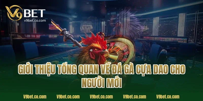 Giới thiệu tổng quan về đá gà cựa dao cho người mới