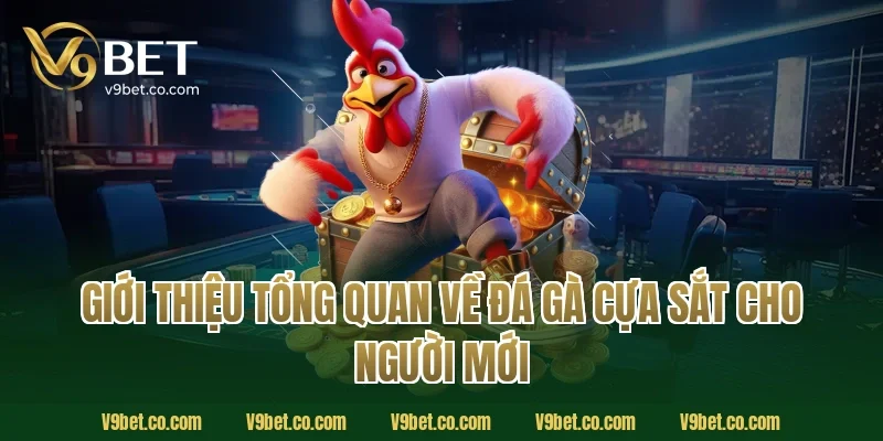 Giới thiệu tổng quan về đá gà cựa sắt cho người mới