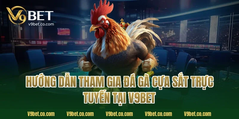 Hướng dẫn tham gia đá gà cựa sắt trực tuyến tại V9BET