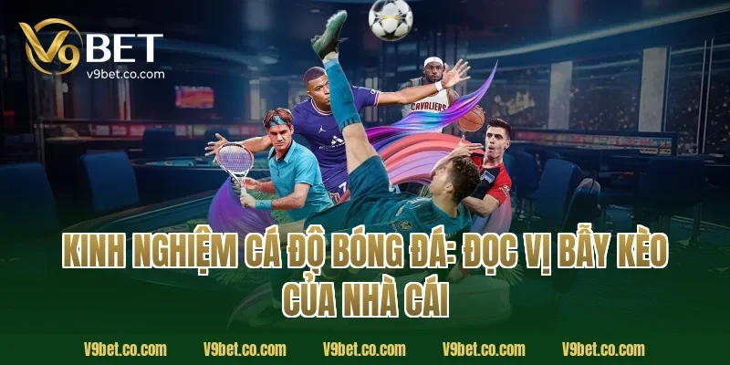 Kinh Nghiệm Cá Độ Bóng Đá: Đọc Vị Bẫy Kèo Của Nhà Cái