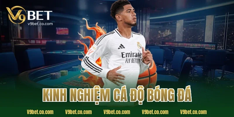 kinh nghiệm cá độ bóng đá