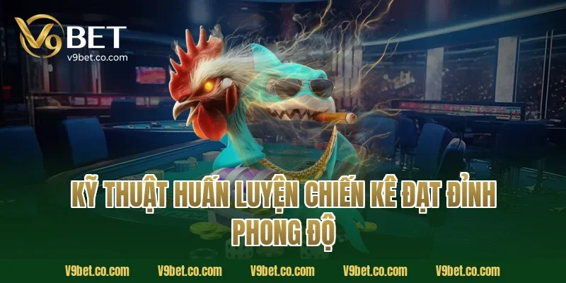Kỹ Thuật Huấn Luyện Chiến Kê Đạt Đỉnh Phong Độ