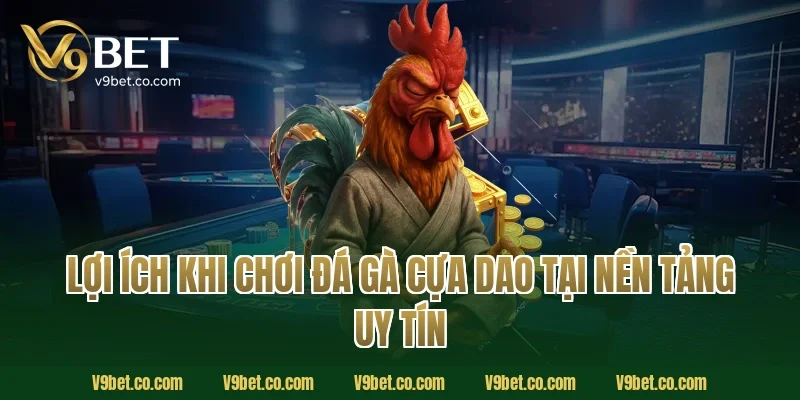 Lợi ích khi chơi đá gà cựa dao tại nền tảng uy tín