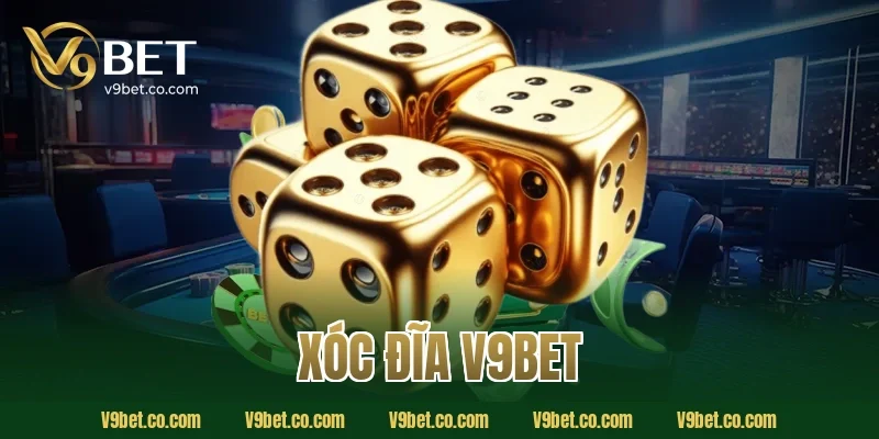 xóc đĩa V9Bet