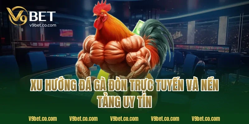 Xu Hướng Đá Gà Đòn Trực Tuyến Và Nền Tảng Uy Tín